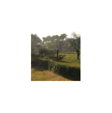 ￼
Landscapes